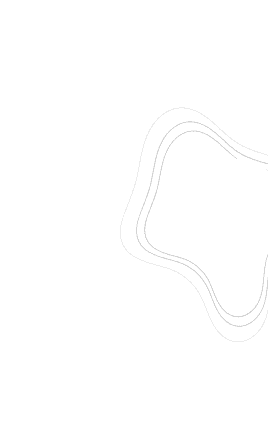 aboutTrudentz-pattern